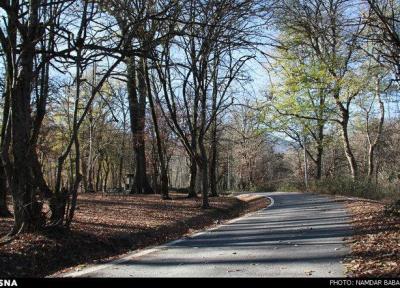 سرانه فضای سبز تهرانی ها چقدر است؟