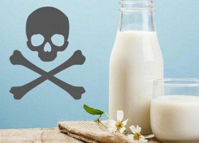 آلودگی شیر و لبنیات به سم آفلاتوکسین صحت ندارد