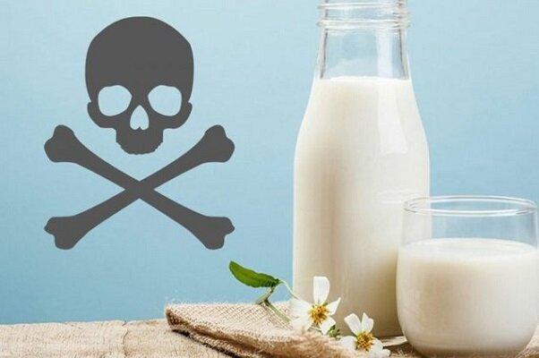 آلودگی شیر و لبنیات به سم آفلاتوکسین صحت ندارد