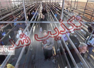 خبرنگاران پایانه مرزی مهران پذیرای هیچ زائری نیست