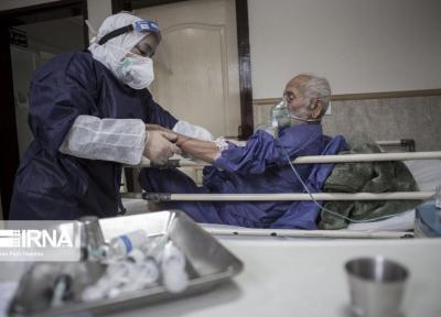 خبرنگاران 397 بیمار جدید مبتلا به کووید-19 در استان مرکزی شناسایی شد