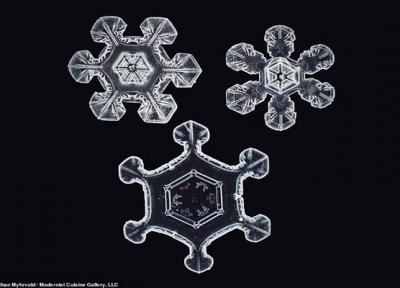 شکل واقعی دانه های برف در نزدیک ترین حالت ممکن (تصاویر)