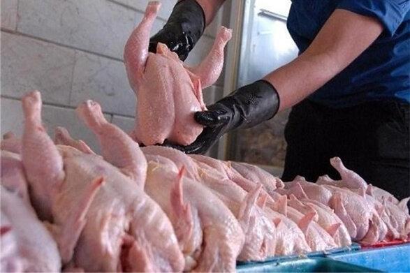 سالمی: توزیع مرغ بسیار بیشتر از احتیاج روزانه شهر تهران است خبرنگاران