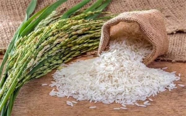تور تایلند ارزان: ماهانه 30 هزار تن برنج تایلندی در بازار توزیع می گردد