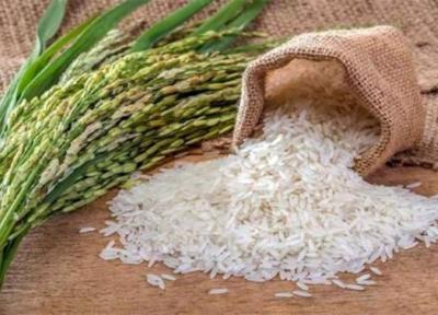 تور تایلند ارزان: ماهانه 30 هزار تن برنج تایلندی در بازار توزیع می گردد
